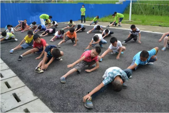 TIM截图20170531095618.png
