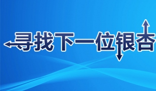 2014银杏伙伴成长计划推荐人邀请