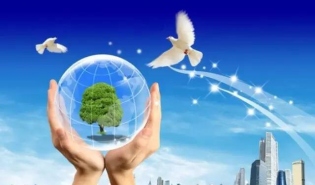 【景行视界】机构资助与公益风险投资有什么异同？