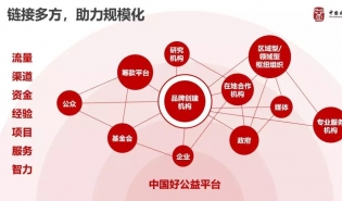 彭艳妮：两年规模化探索初建“公益高速路网” 明年将推“规模化学院”