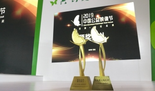 2019中国公益映像节，我们得了两项大奖！