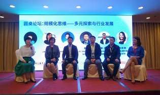 枢纽驱动的区域公益生态：挑战与机遇