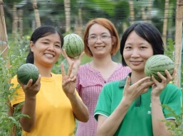 绿芽乡伴计划